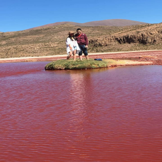 ALTIPLANO - LAGUNA ROJA