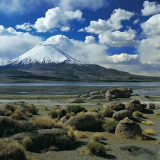 ALTIPLANO - OTRAss