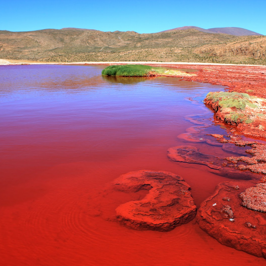 LAGUNA ROJA FULL DAY AVENTURA 4X4